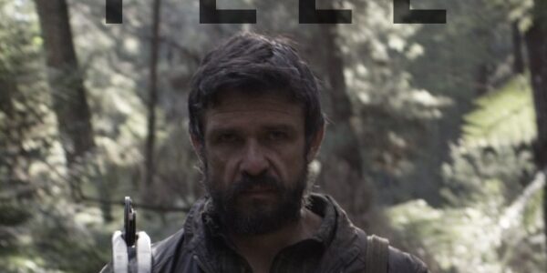 Fell film