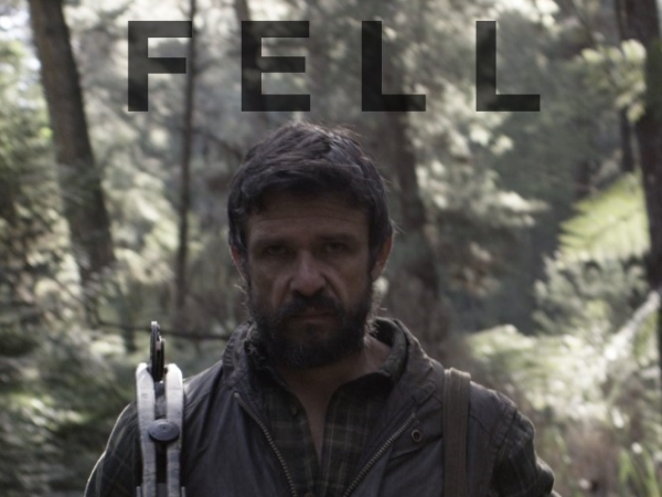 Fell film