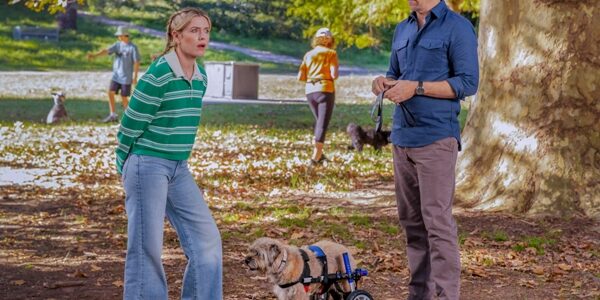 Australian TV Premieres in the US in September 2026 Colin from Accounts S3